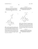 HSP90 INHIBITORS diagram and image