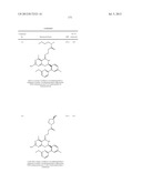 HSP90 INHIBITORS diagram and image