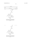 HSP90 INHIBITORS diagram and image