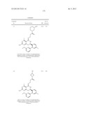 HSP90 INHIBITORS diagram and image