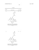 HSP90 INHIBITORS diagram and image