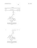 HSP90 INHIBITORS diagram and image