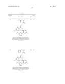 HSP90 INHIBITORS diagram and image