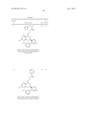 HSP90 INHIBITORS diagram and image