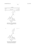 HSP90 INHIBITORS diagram and image