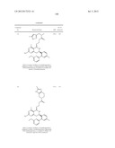 HSP90 INHIBITORS diagram and image