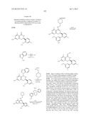 HSP90 INHIBITORS diagram and image