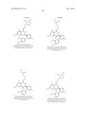 HSP90 INHIBITORS diagram and image