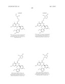 HSP90 INHIBITORS diagram and image