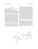 HSP90 INHIBITORS diagram and image