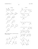 HSP90 INHIBITORS diagram and image