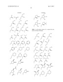 HSP90 INHIBITORS diagram and image