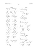 HSP90 INHIBITORS diagram and image