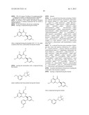 HSP90 INHIBITORS diagram and image