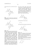 HSP90 INHIBITORS diagram and image