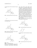 HSP90 INHIBITORS diagram and image