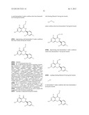 HSP90 INHIBITORS diagram and image