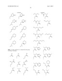 HSP90 INHIBITORS diagram and image