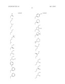 HSP90 INHIBITORS diagram and image