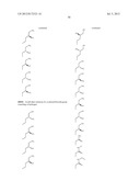 HSP90 INHIBITORS diagram and image