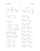 HSP90 INHIBITORS diagram and image