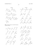 HSP90 INHIBITORS diagram and image