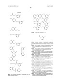 HSP90 INHIBITORS diagram and image