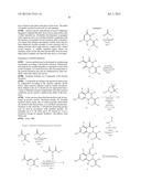 HSP90 INHIBITORS diagram and image