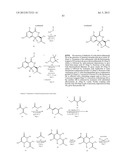 HSP90 INHIBITORS diagram and image