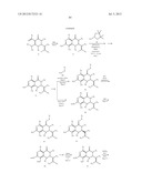 HSP90 INHIBITORS diagram and image