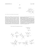 HSP90 INHIBITORS diagram and image