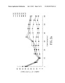 SHORT HAIRPIN RNA FOR GENE KNOCKDOWN OF NR1 SUBUNIT OF THE     N-METHYL-D-ASPARTATE RECEPTOR AND ITS APPLICATION ON PHARMACEUTICS diagram and image