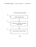 System And Method For Identifying And Applying Peripheral Treatment     Mechanisms For Disease diagram and image