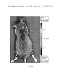 System And Method For Identifying And Applying Peripheral Treatment     Mechanisms For Disease diagram and image