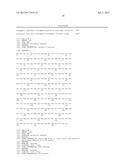 ASLV VECTOR SYSTEM diagram and image