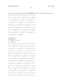 REAGENTS AND METHODS FOR MODULATING CONE PHOTORECEPTOR ACTIVITY diagram and image