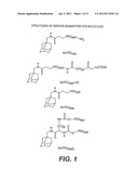 COMPOSITIONS CONTAINING INCLUSION COMPLEXES diagram and image