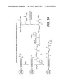 COMPOSITIONS CONTAINING INCLUSION COMPLEXES diagram and image