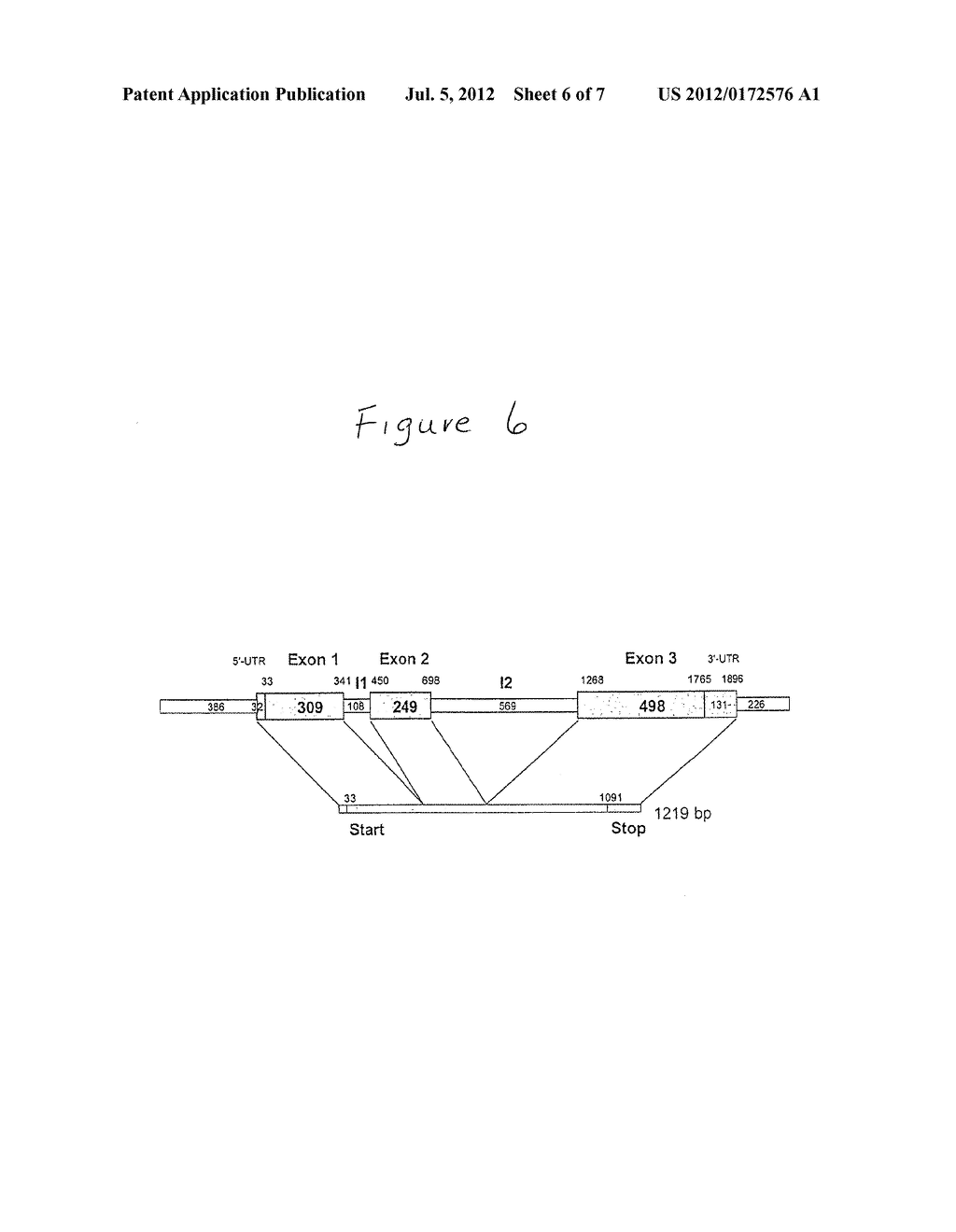 METHOD AND MARKER FOR SIMPLE TRANSFORMATION AND SELECTION OF RECOMBINANT     PROTISTS - diagram, schematic, and image 07