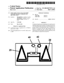 Injectable Vascular Access Port with Discernable Markers for     Identification diagram and image