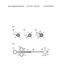 Monopolar RF-Surgical Snares diagram and image