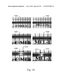 Compositions Promoting the Accelerated Degradation of Metals and Composite     Materials diagram and image