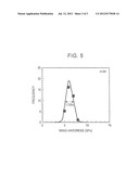 HIGH STRENGTH STEEL SHEET AND METHOD FOR MANUFACTURING THE SAME diagram and image