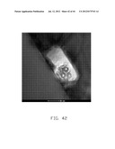 EPITAXIAL STRUCTURE diagram and image