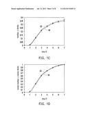 PIXEL STRUCTURE AND DISPLAY PANEL diagram and image