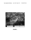 NOVEL COMBINATION CATALYSTS BASED ON IRON FOR THE SUBSTANTIAL SYNTHESIS OF     MULTI-WALLED CARBON NANOTUBES BY CHEMICAL VAPOR DEPOSITION diagram and image