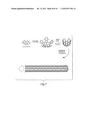 NANOSTRUCTURES AND METHODS FOR CHEMICALLY SYNTHESIZING NANOSTRUCTURES diagram and image