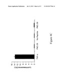 MEMBRANE RESIDENT PEPTIDE IN ANTI-CANCER PEPTIDES CAUSES TUMOR CELL     NECROSIS RATHER THAN APOPTOSIS OF CANCER CELLS diagram and image