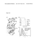 NOVEL MEDITOPES AND RELATED MEDITOPE-MONOCLONAL ANTIBODY DELIVERY SYSTEMS,     SYNTHESIS AND THERAPEUTIC USES THEREOF diagram and image