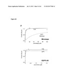 NOVEL MEDITOPES AND RELATED MEDITOPE-MONOCLONAL ANTIBODY DELIVERY SYSTEMS,     SYNTHESIS AND THERAPEUTIC USES THEREOF diagram and image